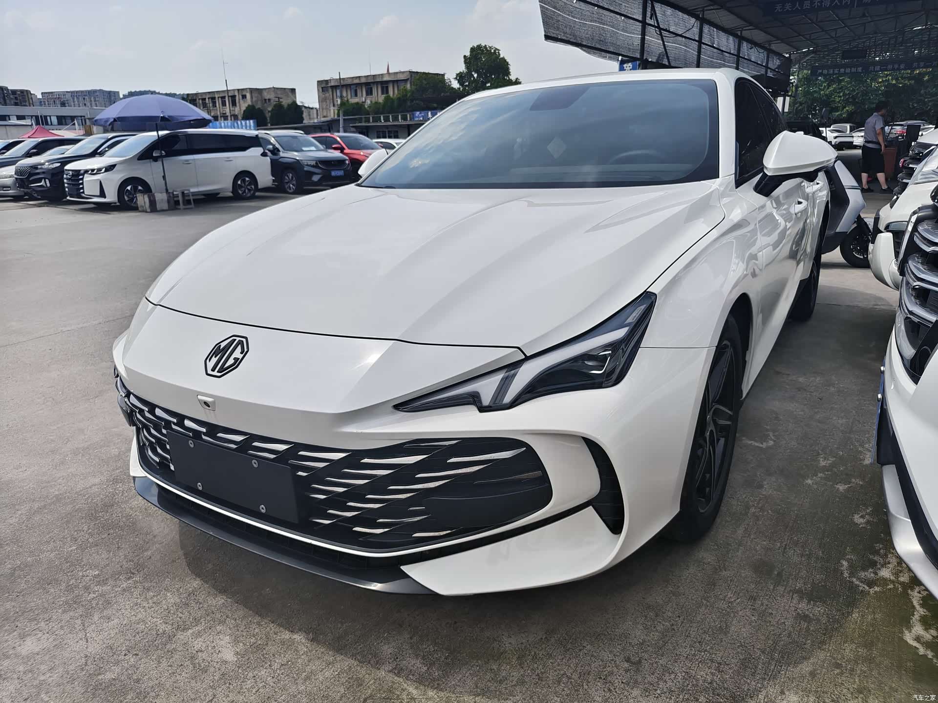 MG MG7