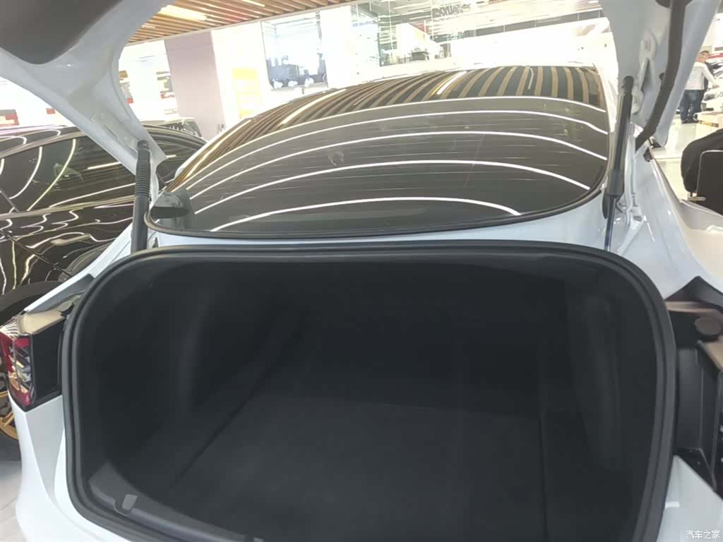 Tesla Model 3, 2021 19