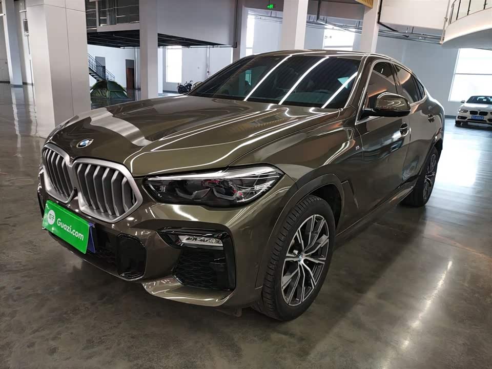BMW X6