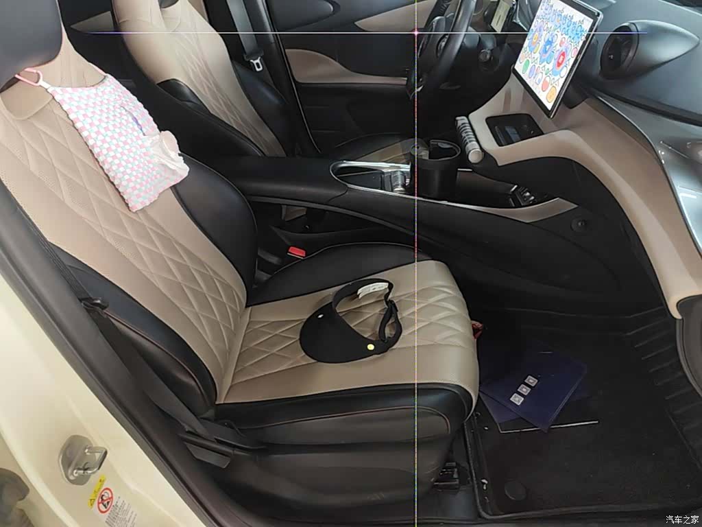 BYD Dolphin, 2022 25