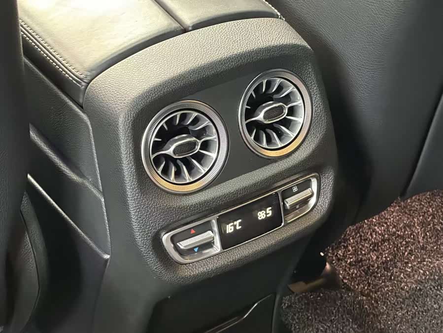 Mercedes-Benz G-Class 2020, фото 9