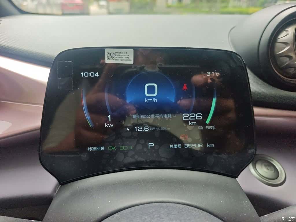 BYD Dolphin, 2022 4
