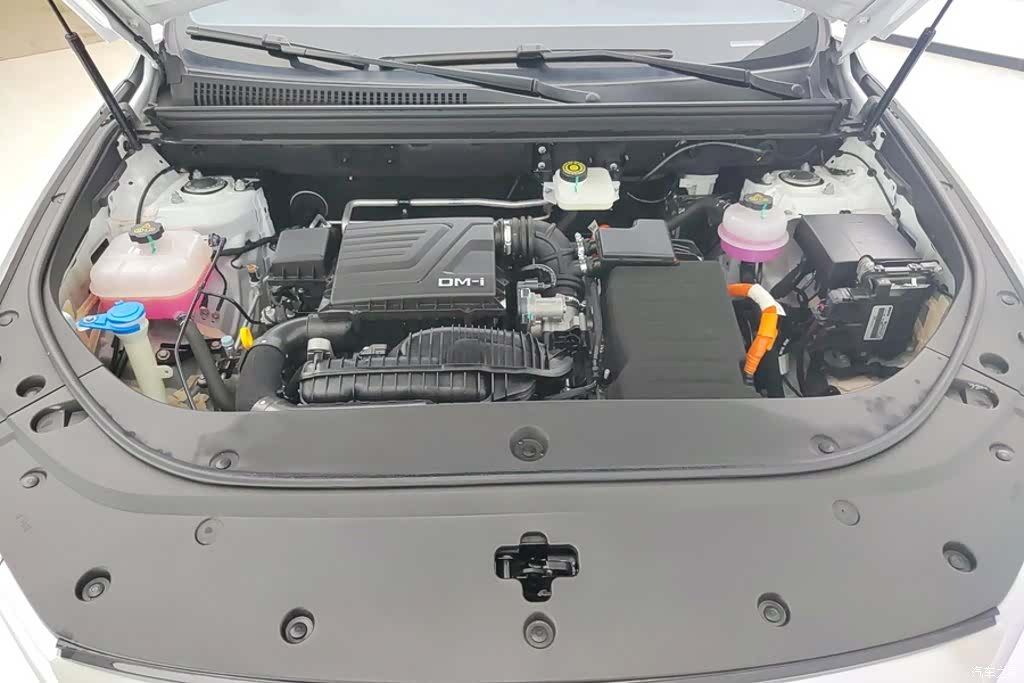 BYD Song, 2024 10