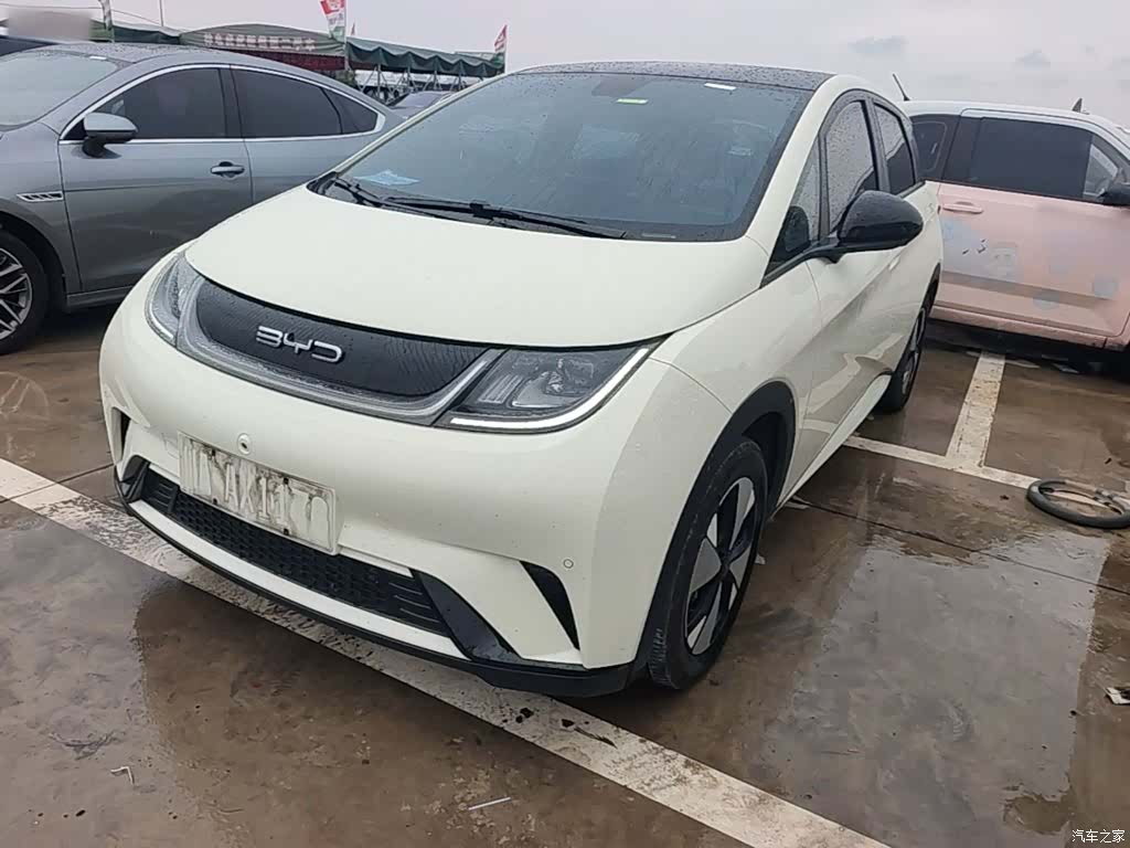 BYD Dolphin, 2023 2