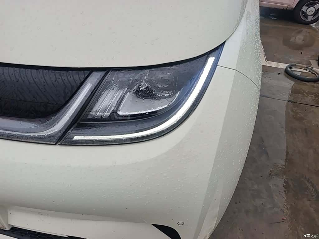 BYD Dolphin, 2023 24