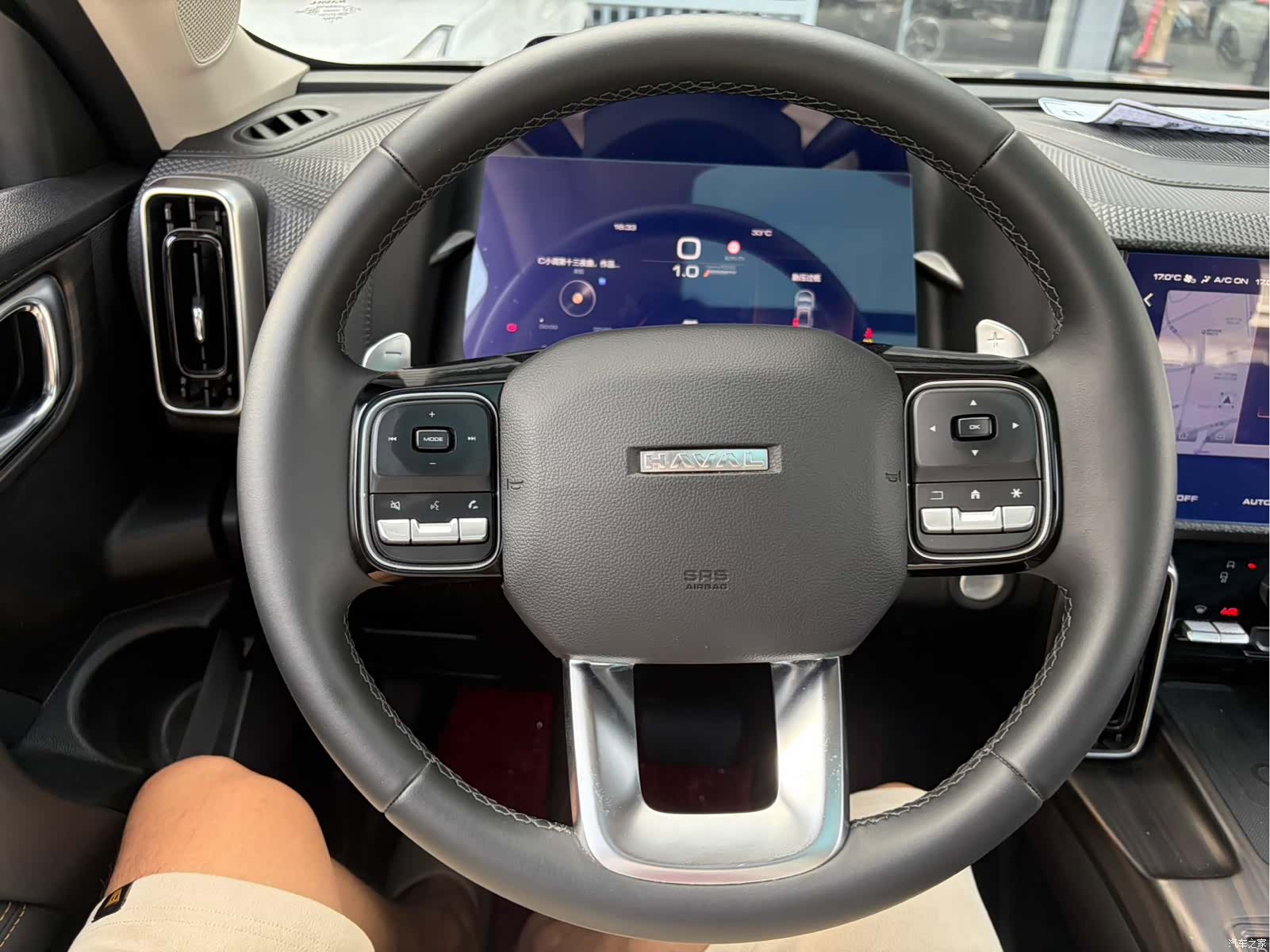 Haval Big Dog, 2024 13