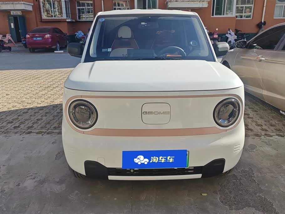 Geely Galaxy panda