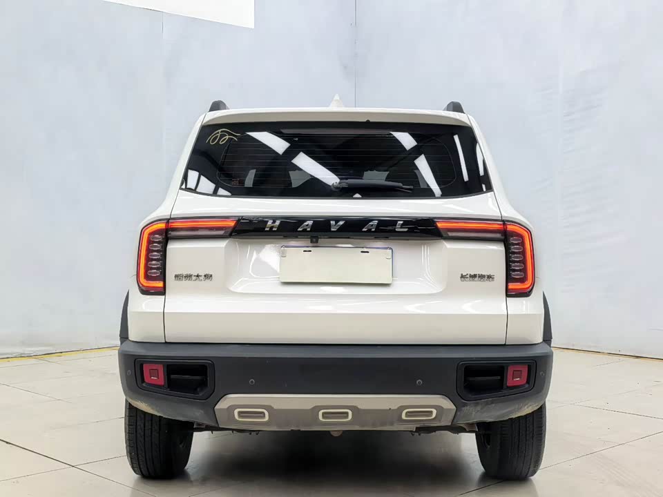 Haval Big dog