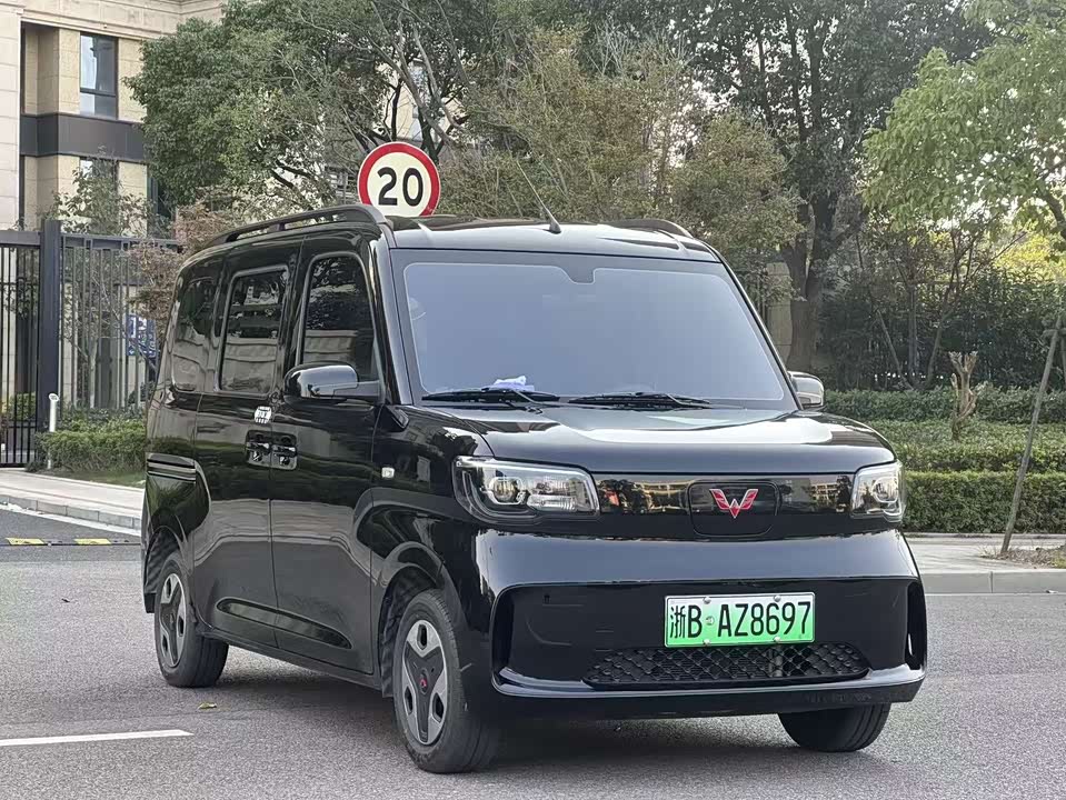 Wuling Wuling Zhiguang