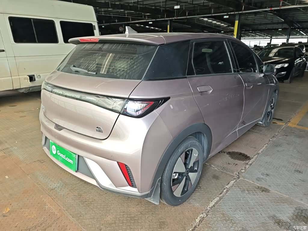 BYD Dolphin, 2023 7
