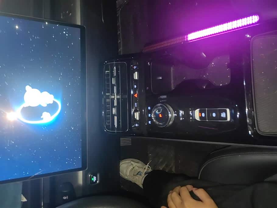 Wuling Wuling Starlight