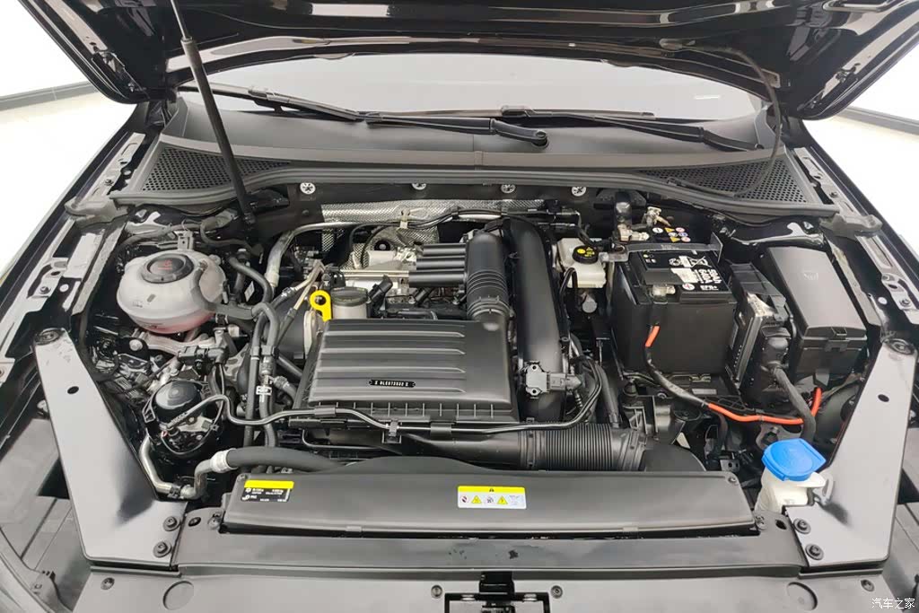 Volkswagen Magotan, 2024 10