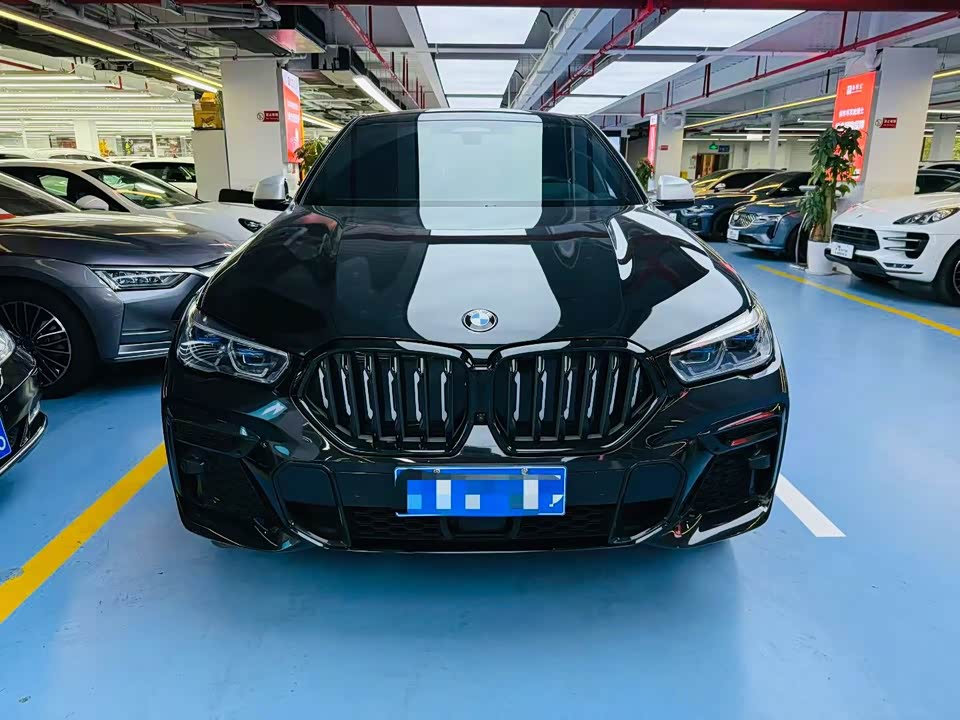 BMW X6