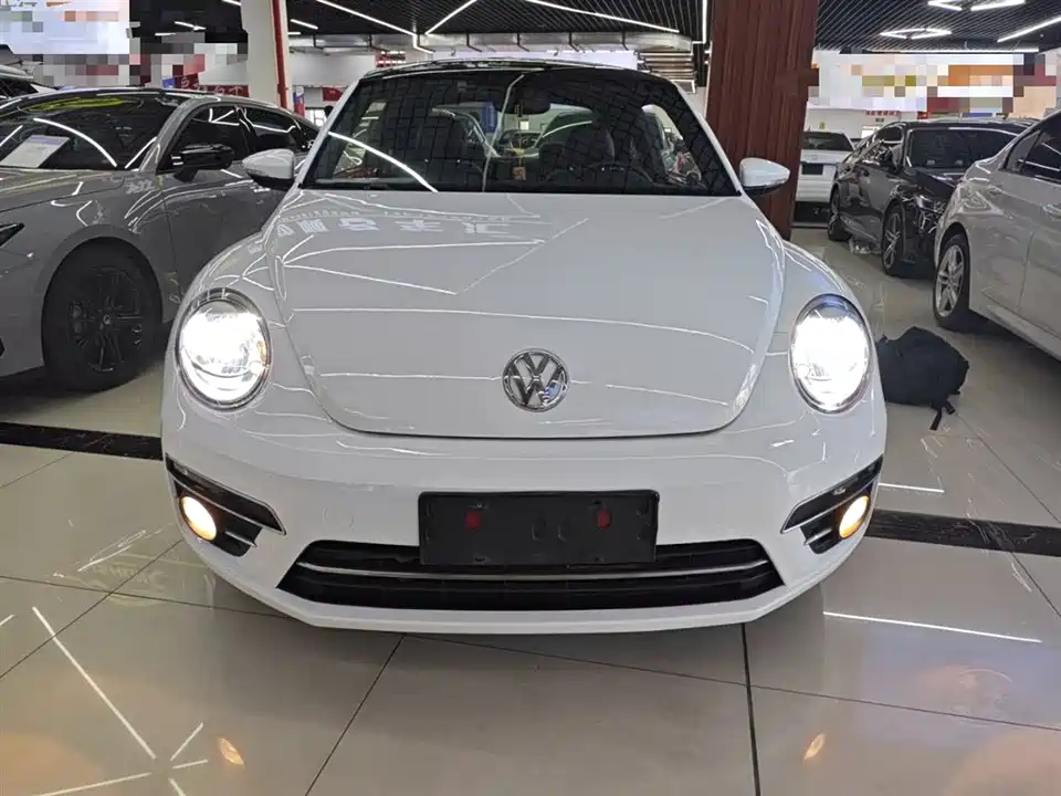 Volkswagen Beetle Volkswagen Beetle