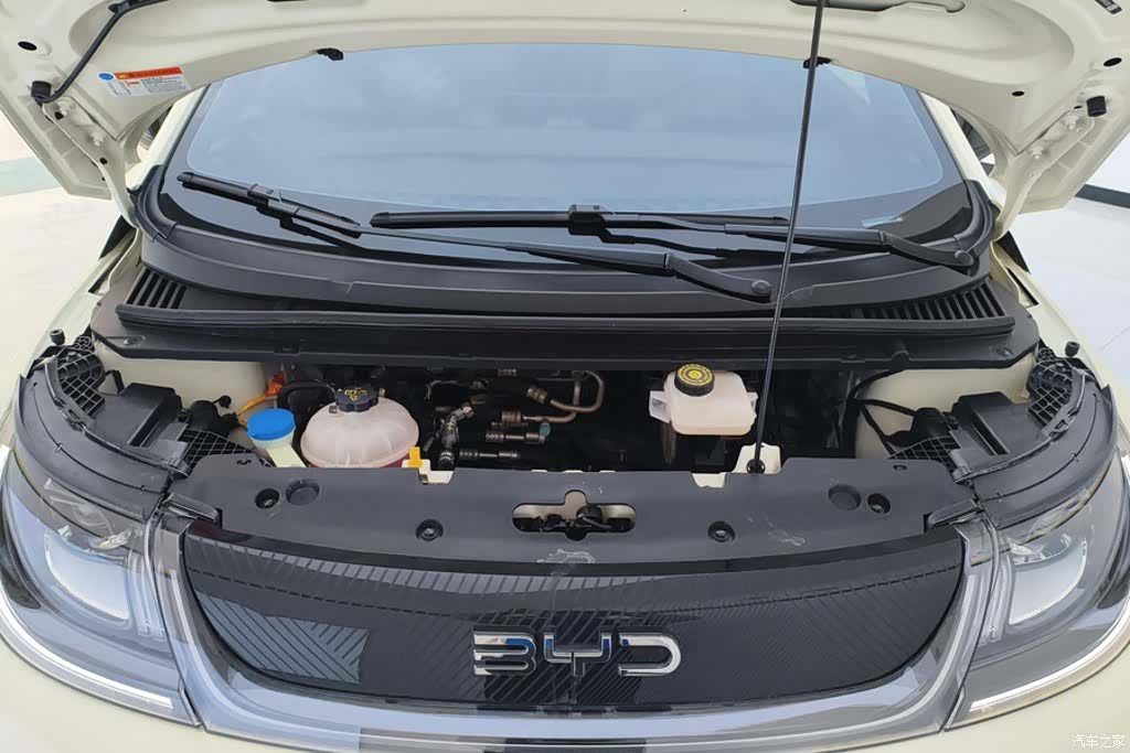 BYD Dolphin, 2024 10