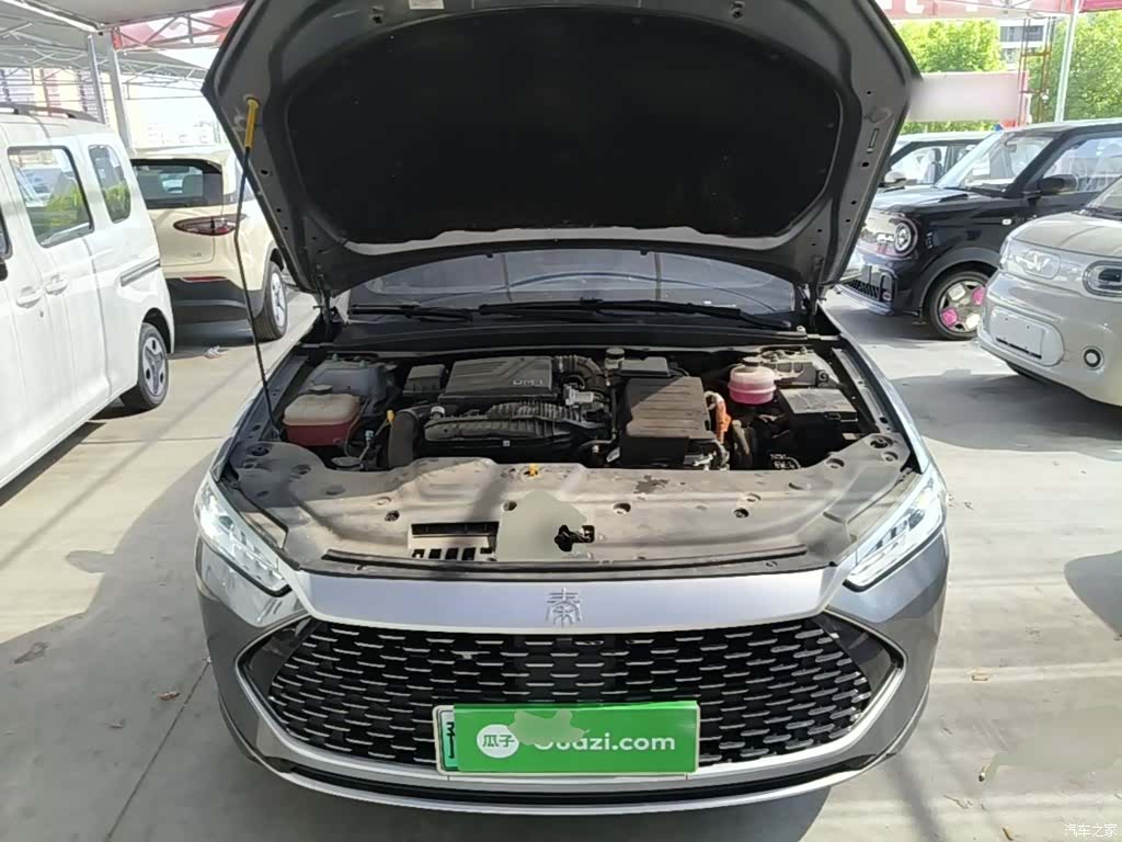 BYD Qin, 2024 20