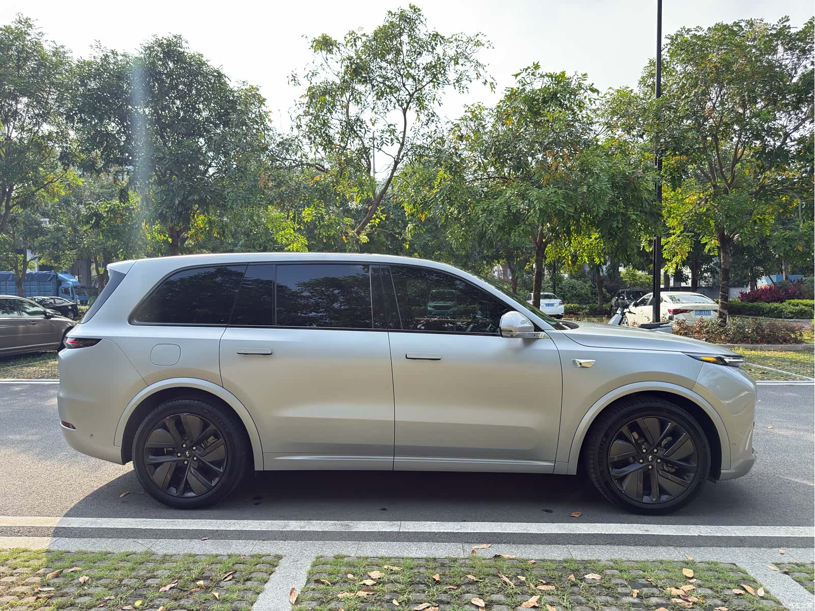 Li Auto L9, 2023 4