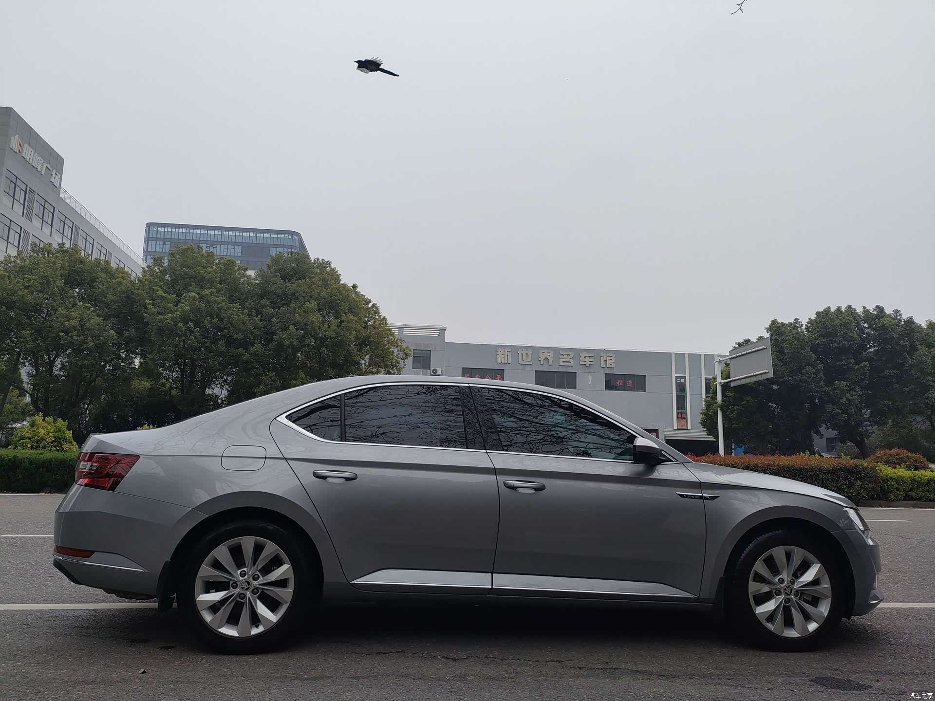 Skoda Superb, 2019 7