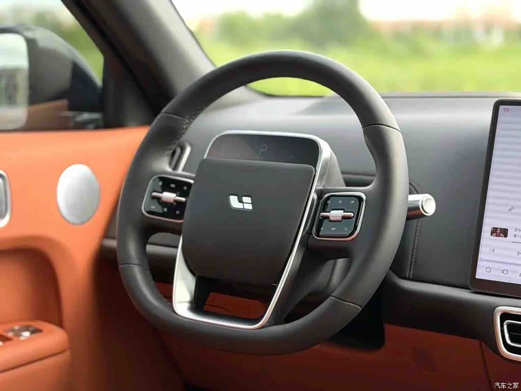 Li Auto L9, 2024 все фото