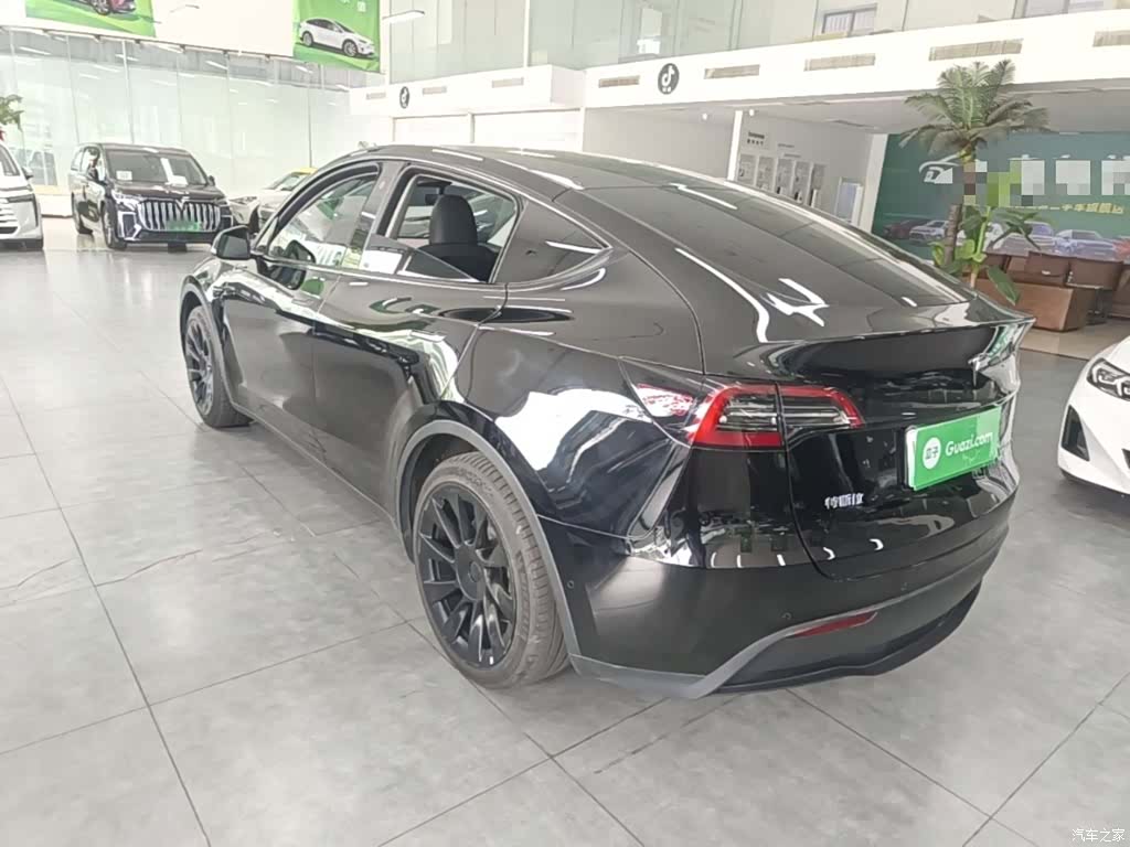 Tesla Model Y, 2023 все фото