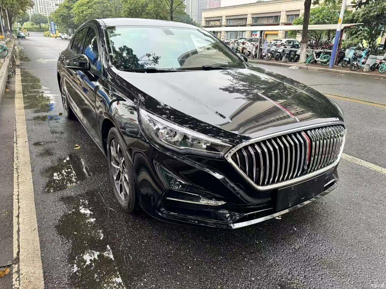 Hongqi H5, 2020 3
