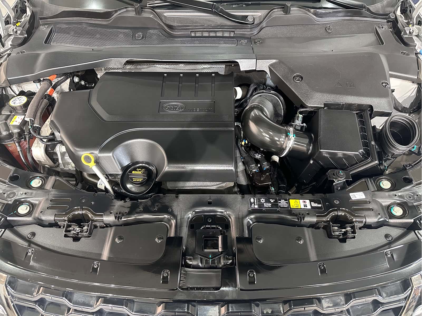 Land Rover Range Rover, 2023 все фото