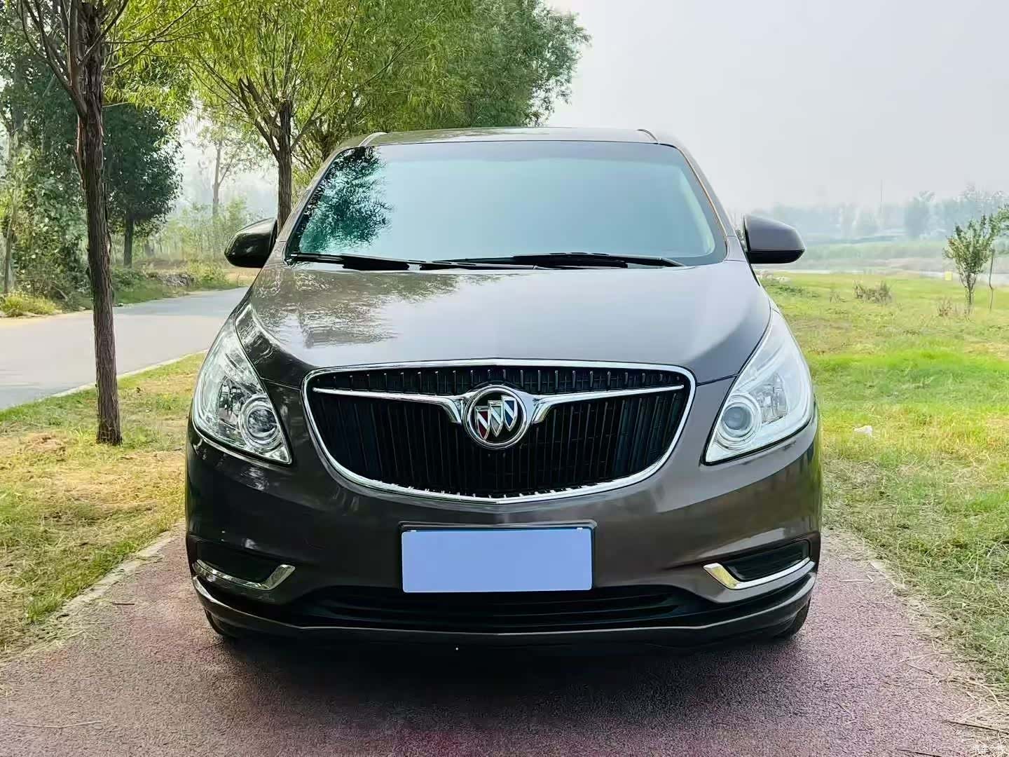 Buick GL8, 2019 2