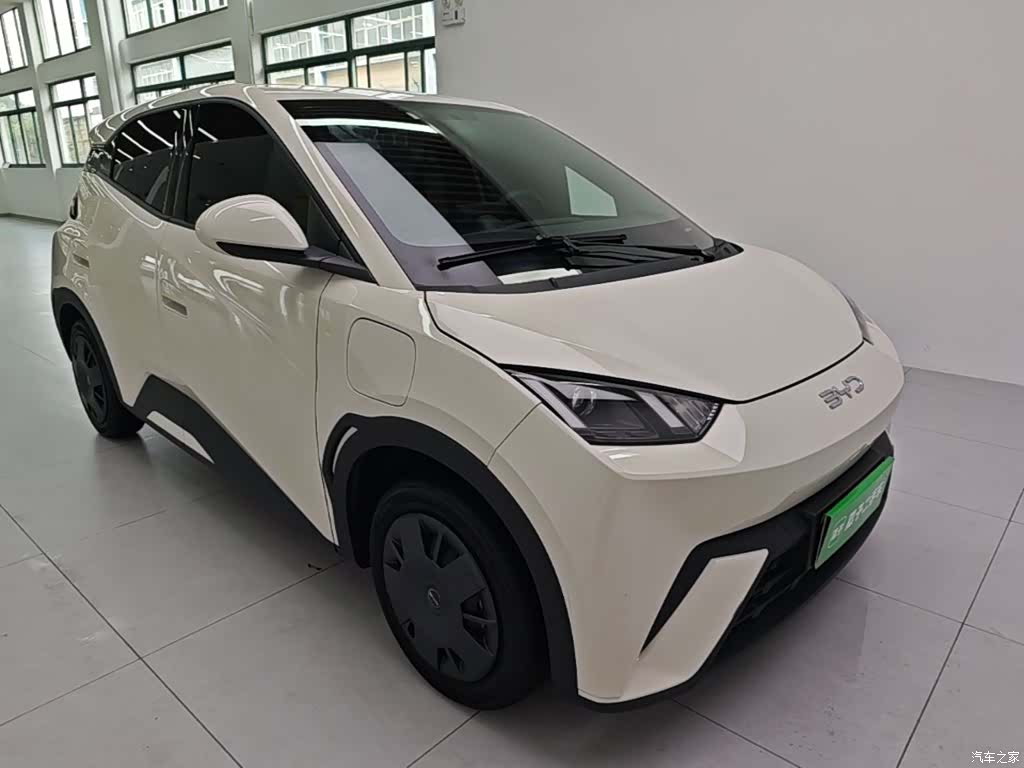 BYD Seagull, 2024 4