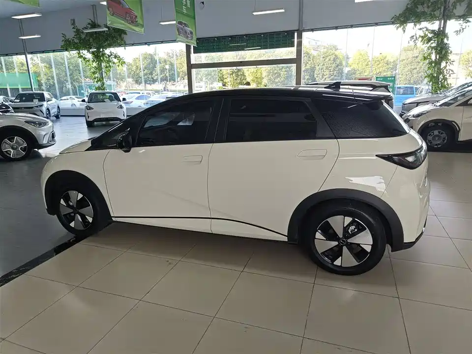 BYD dolphin