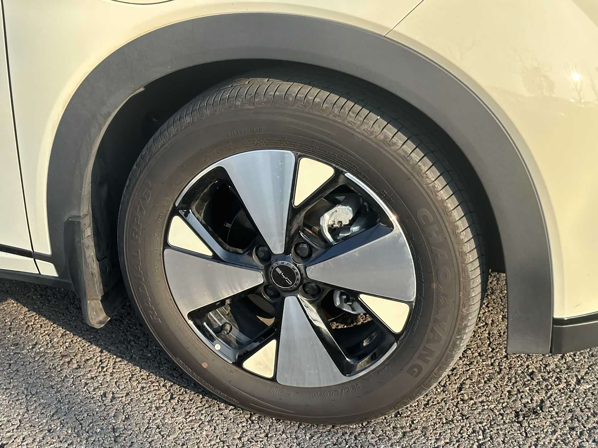 BYD Dolphin, 2023 6