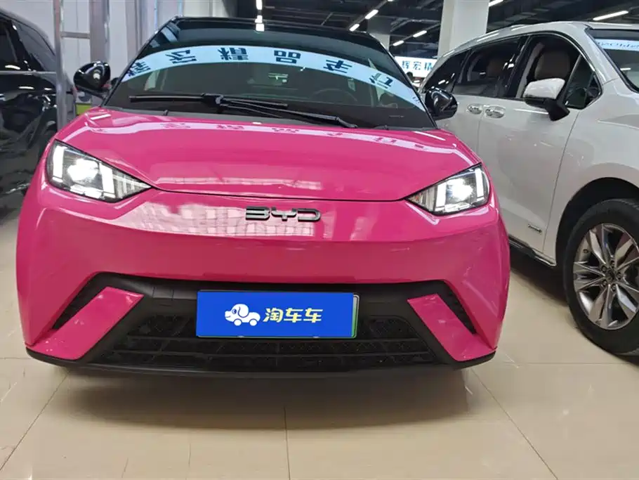 BYD Seagull