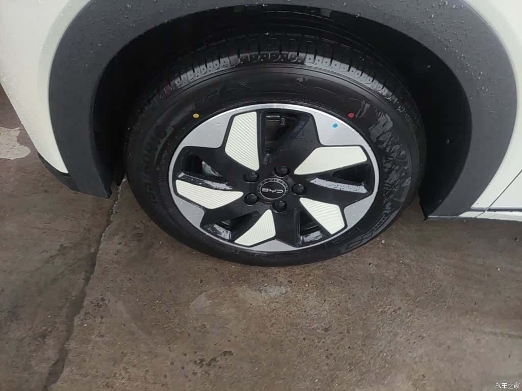 BYD Dolphin, 2026 23