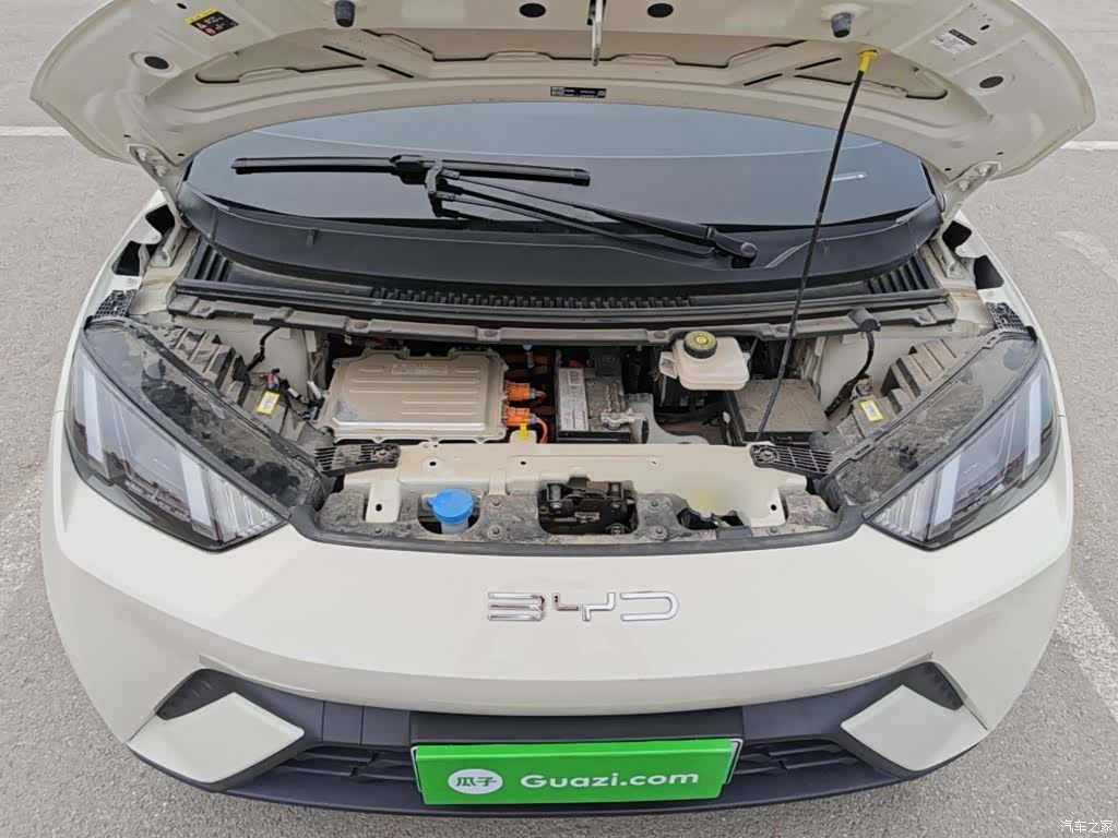BYD Seagull, 2024 20