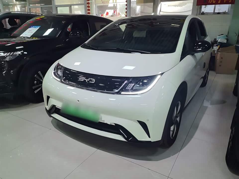 BYD dolphin