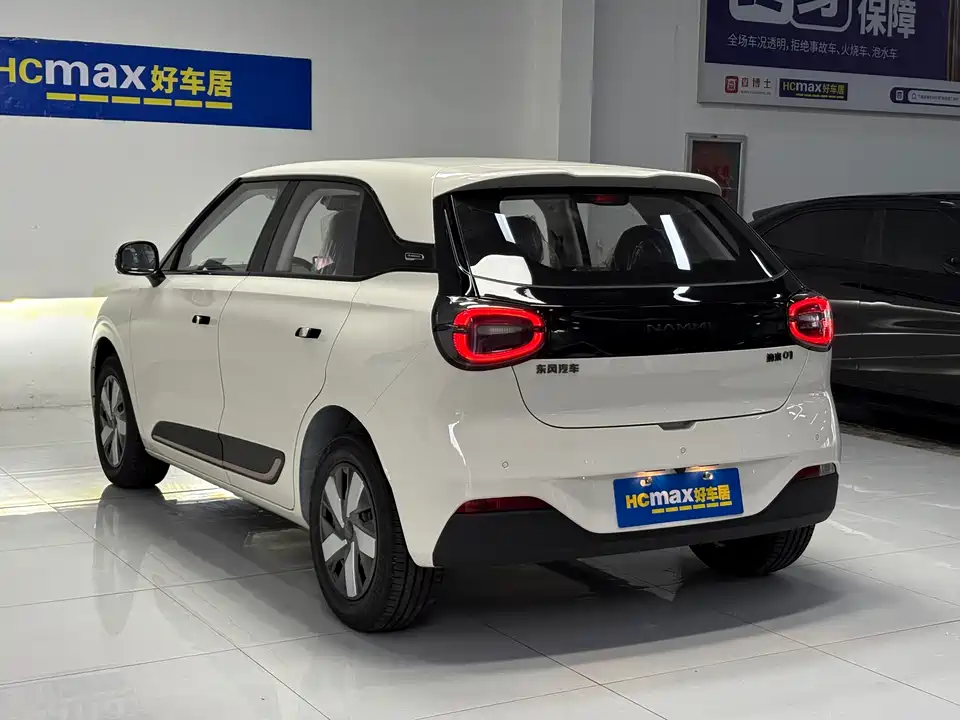 Dongfeng Nammi Nano 01