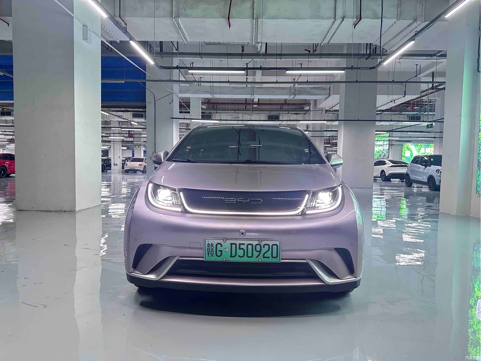 BYD Dolphin, 2023 2