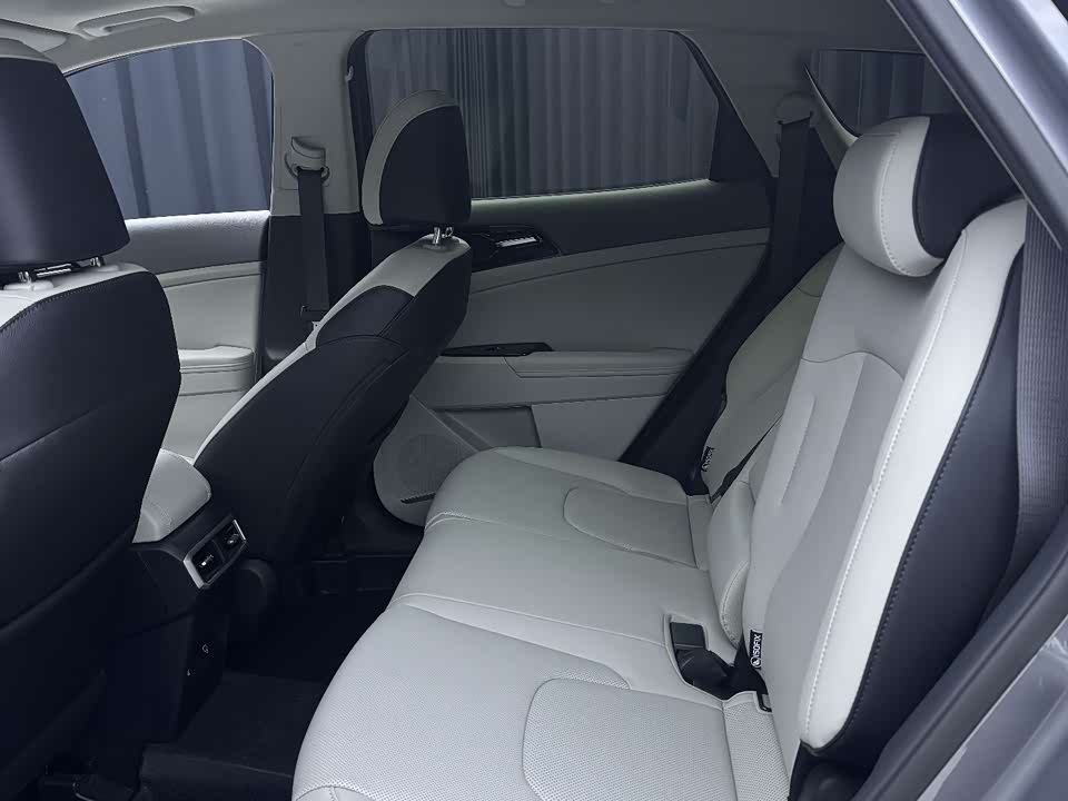 Kia Lion Platinum expands the world