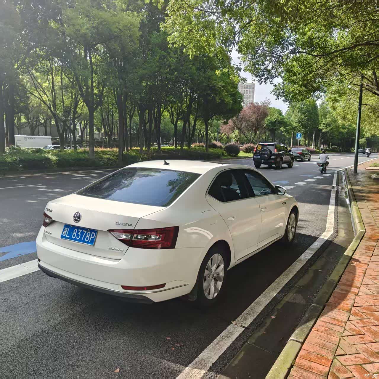 Skoda Superb, 2016 4