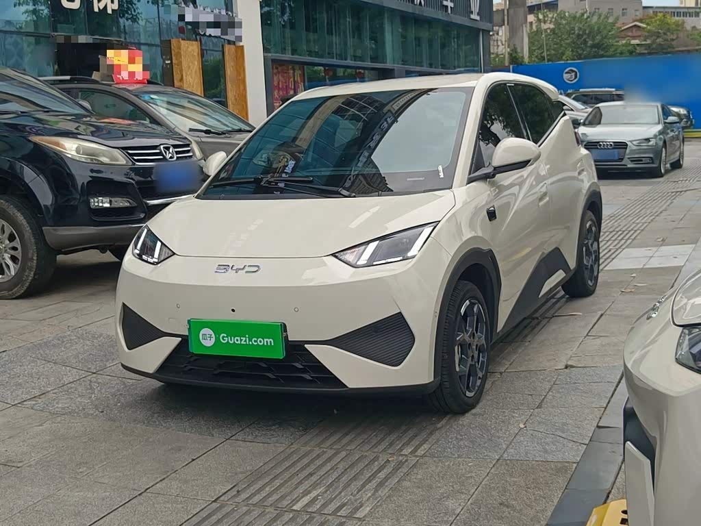 BYD Seagull