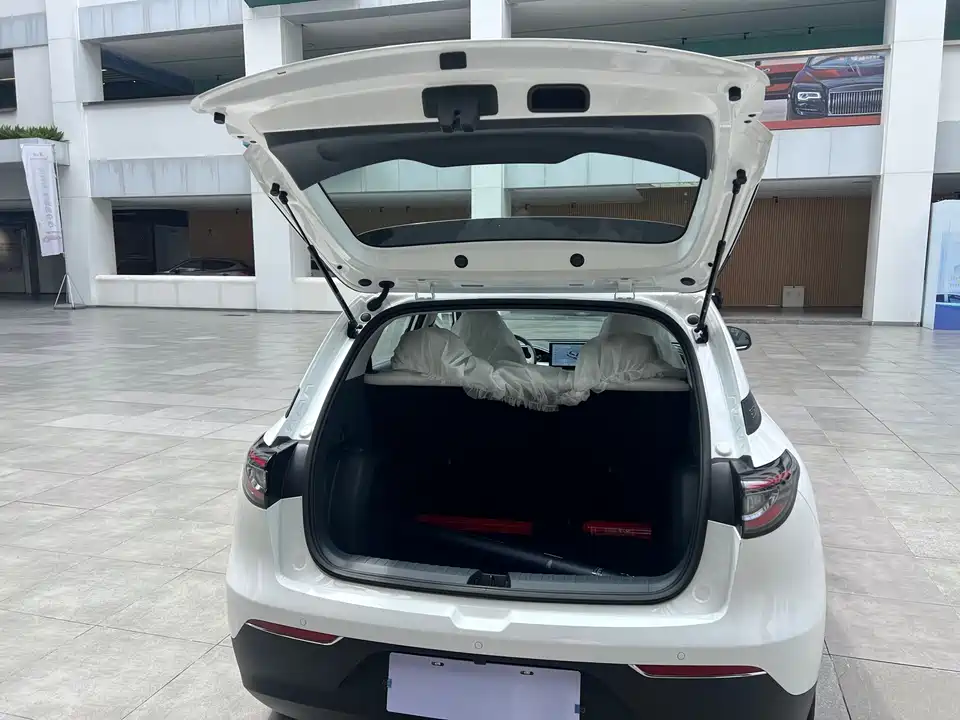 Geely Galaxy Star Wish