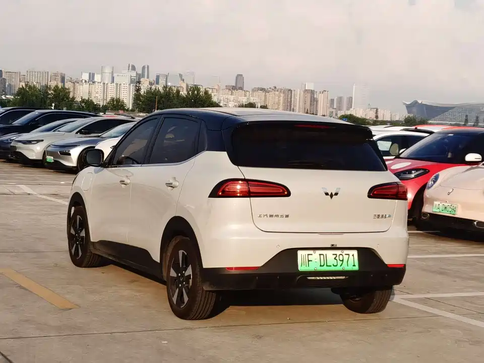 Wuling Wuling Bingguo PLUS