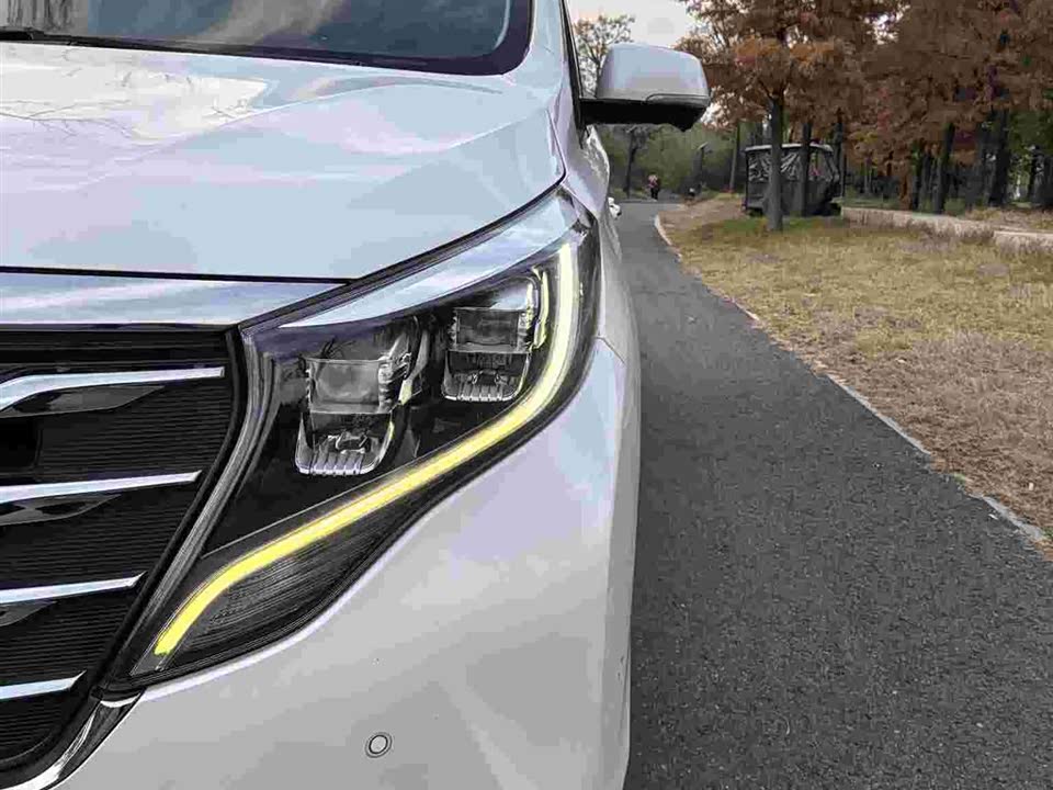 Trumpchi Trumpchi M8