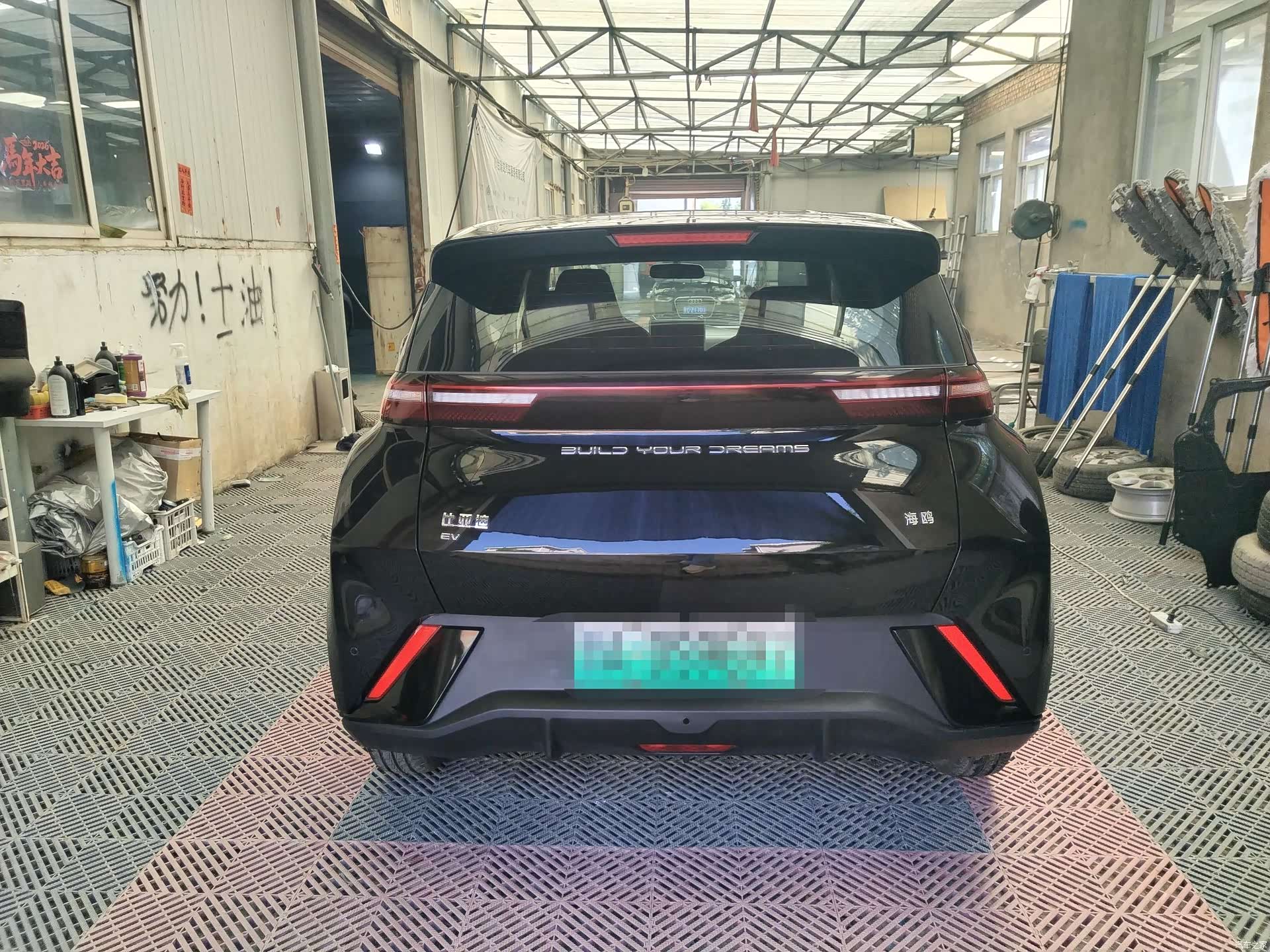 BYD Seagull, 2024 10