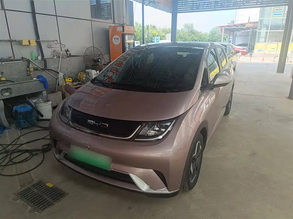 BYD dolphin