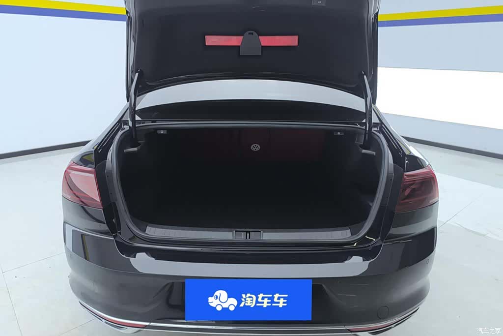 Volkswagen Magotan, 2024 4
