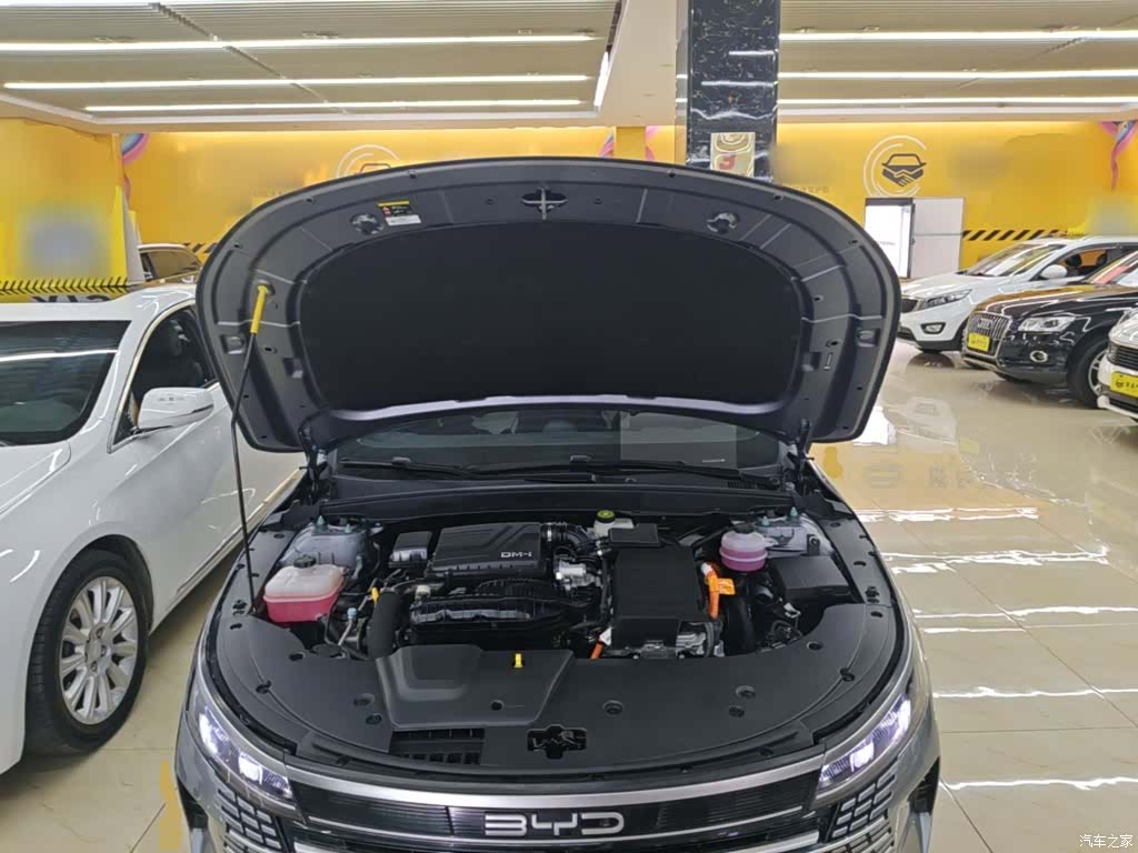 BYD Destroyer 05, 2024 20