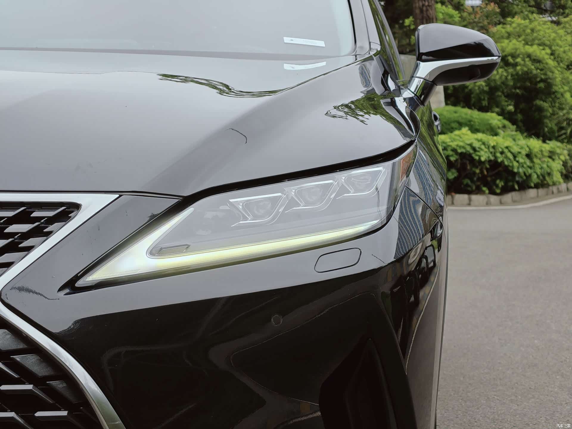 Lexus RX, 2021 все фото