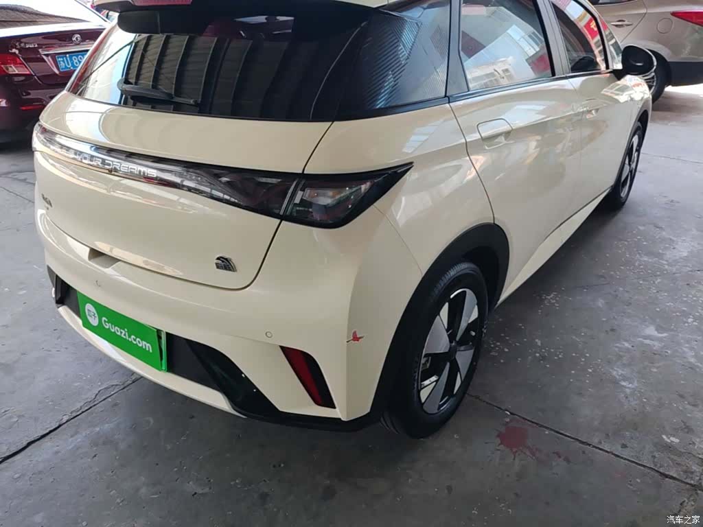 BYD Dolphin, 2024 8