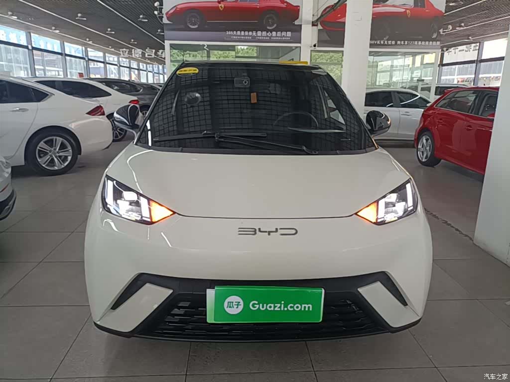 BYD Seagull, 2023 3