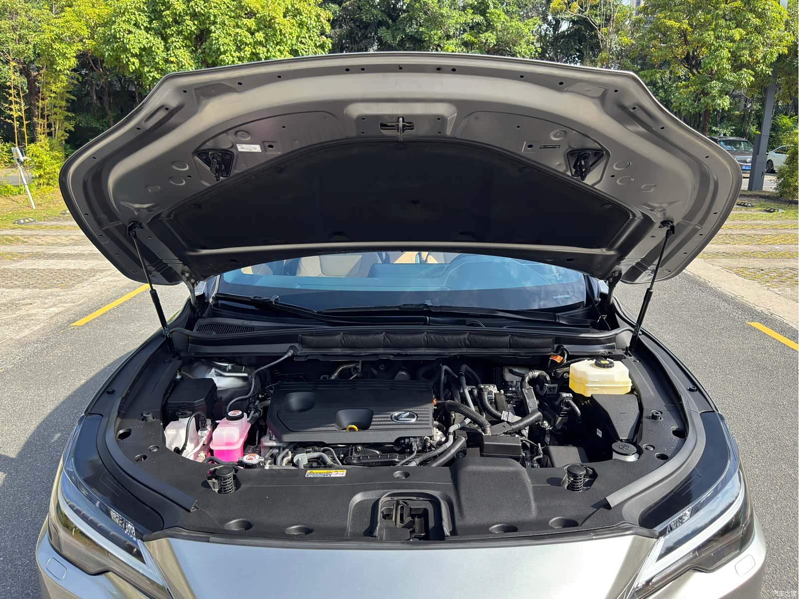 Lexus RX, 2023 15